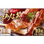 うなぎ 訳あり 鰻 100g×10尾