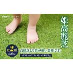 花 苗木 10月から5月に発送 姫高麗芝 2平方メートル