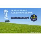 花 苗木 10月から5月に発送 野芝 2平方メートル