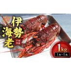 冷凍 活き締め 伊勢海老 Jセット 1kg