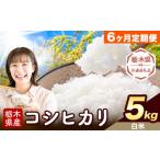 米 コシヒカリ 6ヶ月定期便 白米 5kg