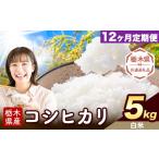 栃木 ふるさと米 無洗米 5kg