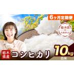 米 コシヒカリ 白米 10kg