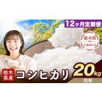 米 コシヒカリ 12ヶ月定期便 白米 20kg