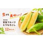 とうもろこし 2027 生でも美味しい 南信州産
