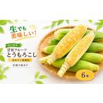 とうもろこし 2027 訳ありご 生でも美味しい