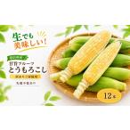 とうもろこし 2027 訳ありご 生でも美味しい
