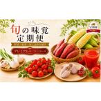 野菜類 定期便4回 テトテ定期便 プレミアム+