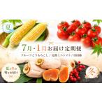 野菜類 定期便2回 テトテ定期便 定番 7月
