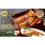 魚貝類 穴子 2ヶ月定期便 活〆 プレミアム煮穴子 250g