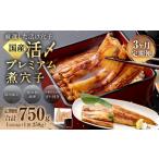 魚貝類 穴子 3ヶ月定期便 活〆 プレミアム煮穴子 250g