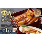 魚貝類 穴子 4ヶ月定期便 活〆 プレミアム煮穴子 250g