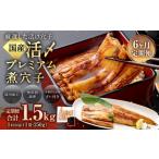魚貝類 穴子 6ヶ月定期便 活〆 プレミアム煮穴子 250g