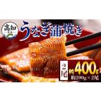 うなぎ 産うなぎの白焼き カットうなぎ 100g×2袋