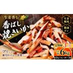 イカ 3ヶ月定期便 生姜香る香ばし焼きいか 約1kg