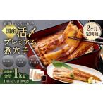 魚貝類 穴子 2ヶ月定期便 活〆 プレミアム煮穴子 500g