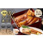 魚貝類 穴子 3ヶ月定期便 活〆 プレミアム煮穴子 500g