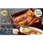魚貝類 穴子 4ヶ月定期便 活〆 プレミアム煮穴子 500g