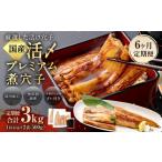 魚貝類 穴子 6ヶ月定期便 活〆 プレミアム煮穴子 500g