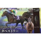 ヒルノダムール タペストリー 馬 競馬 競走馬