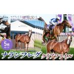 ナランフレグ クリアファイル5枚入り 馬
