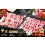 豚肉 しゃぶしゃぶ 定期便 4回 毎月 黒豚バラ