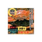カニ 松葉ガニ <訳あり>浜茹で