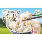 雑穀 仕七川自慢 もち麦 4kg