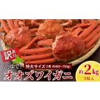 カニ 7営業日以内発送 訳あり オオズワイガニオス