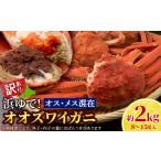 カニ 7営業日以内発送 訳あり オオズワイガニオスメス混在…