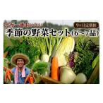 季節の野菜セット 6~7品