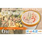 菓子 アイス しょうがのアイス 100ml