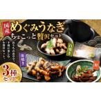 うなぎ めぐみうなぎ ちょこっと贅沢 セット