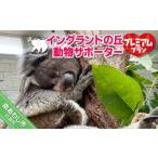 入場券 優待券 イングランドの丘 動物サポーター