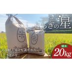 米 とちぎの星 お米 20kg