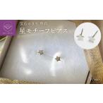 アクセサリー ピアス < 甲府ジュエリー