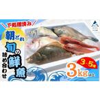 旬の鮮魚等 下処理済み 朝どれ 旬の鮮魚 詰め合わせ 3kg以上