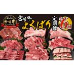 牛肉 宮崎牛よくばり定期便全6回_M399-T001-6-1