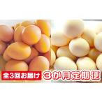 卵 鶏 烏骨鶏等 3か月定期便 ひまわりたまご紅白セット