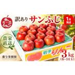 ふるさと納税 りんご 岩手県 盛岡市 <先行予約> 訳あり サンふじ 3kg <2027年1月発送> りんご 果物 くだもの フルーツ 林檎 リンゴ 産地直送 新鮮…