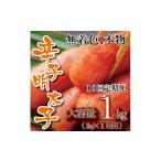 魚貝類 明太子 JB002. 全10回定期便