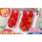 いちご 訳あり 粒不揃い とちおとめ 1 680g