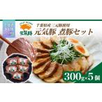 惣菜 レトルト 冷凍 農場直送 元気豚 煮豚セット 300g×5個