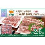 豚肉 しゃぶしゃぶ 産豚肉 元気豚 精肉4種セット