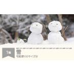 地域のお礼の品 天然の雪 100サイズ分