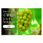 ぶどう マスカット 2026年発送 シャインマスカット2房 合計…