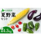 fu.... налог комплект *... Hokkaido город Sapporo лето овощи комплект l Hokkaido производство кукуруза зеленый перец баклажан помидор комплект ... Hokkaido город Sapporo 
