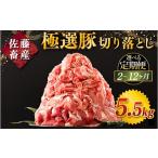 豚肉 定期便2ヶ月 佐藤畜産の極選豚 豚肉の切り落とし 5.5kg