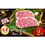 牛肉 サーロイン 知多牛 高級4等級 サーロインステーキ
