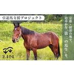 引退馬 飼育支援:寄付金額3 000円 返礼品なし
